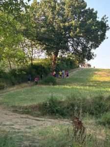 Un gruppo di camminatori sale il sentiero tra i prati, sotto una grande quercia